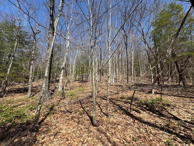 544 Fox Hill Rd, Vacant Land Bernardston, MA 01337
