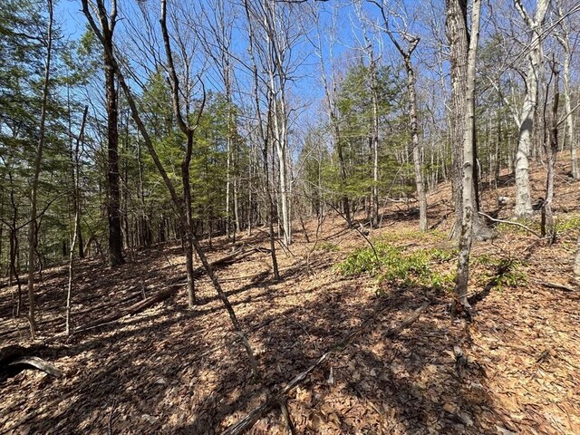 544 Fox Hill Rd, Vacant Land Bernardston, MA 01337