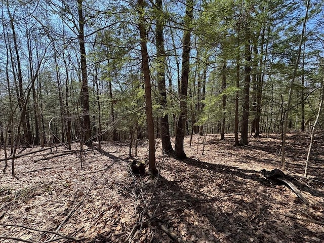 544 Fox Hill Rd, Vacant Land Bernardston, MA 01337