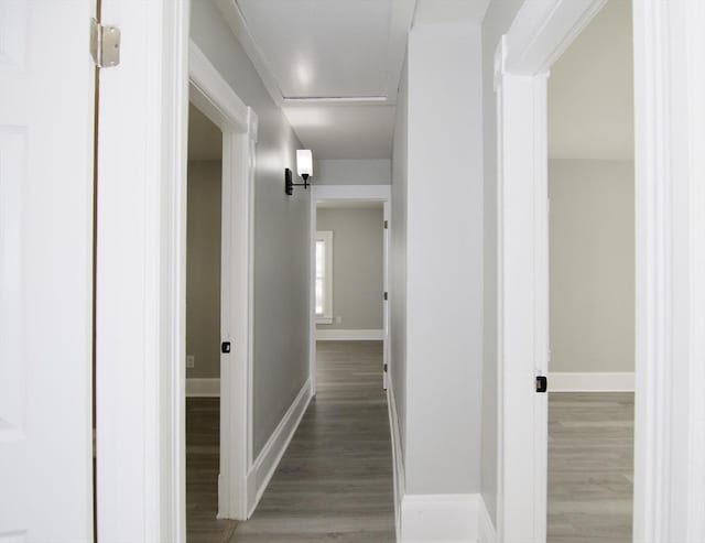 hall featuring hardwood / wood-style flooring