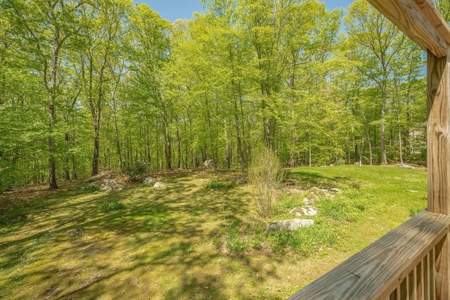 313 Bennett Rd, Hampden, MA 01036 - view of yard with a wooded view