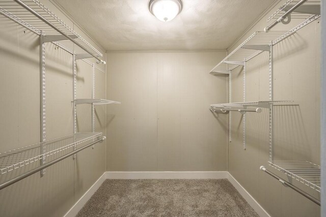 313 Bennett Rd, Hampden, MA 01036 - walk in closet with carpet flooring