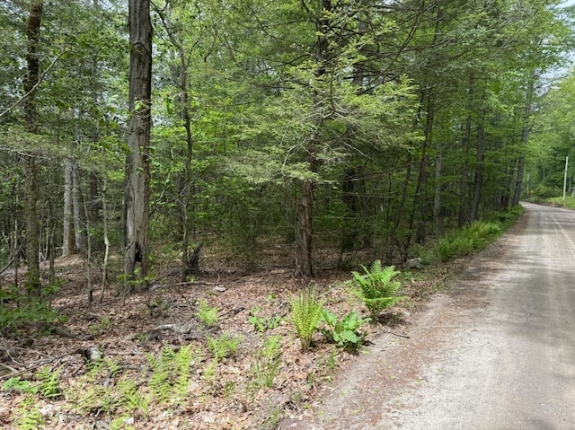 0 Wendell Rd, Shutesbury, MA 01072