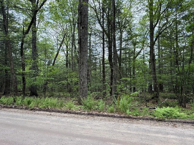 0 Wendell Rd, Shutesbury, MA 01072