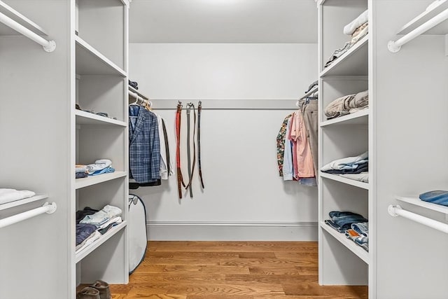 walk in closet with light hardwood / wood-style flooring