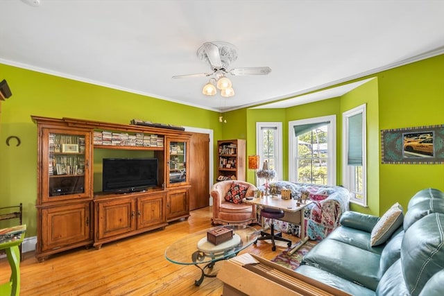 419 Poplar St, Boston, MA 02131 - living room with a ceiling fan, light wood-type flooring, and ornamental molding