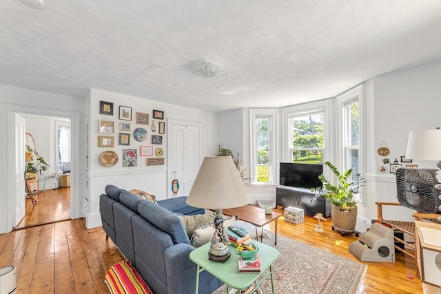419 Poplar St, Boston, MA 02131 - living room featuring light wood finished floors, healthy amount of natural light, and a textured ceiling