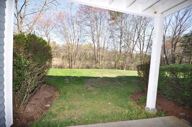 view of yard