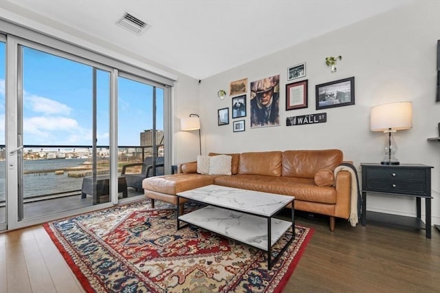 living room featuring dark hardwood / wood-style flooring and a water view