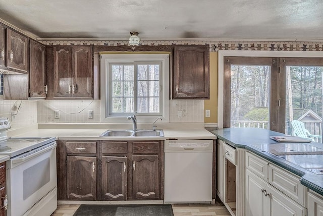 kitchen with dark brown cabinets, light hardwood / wood-style floors, white appliances, and sink