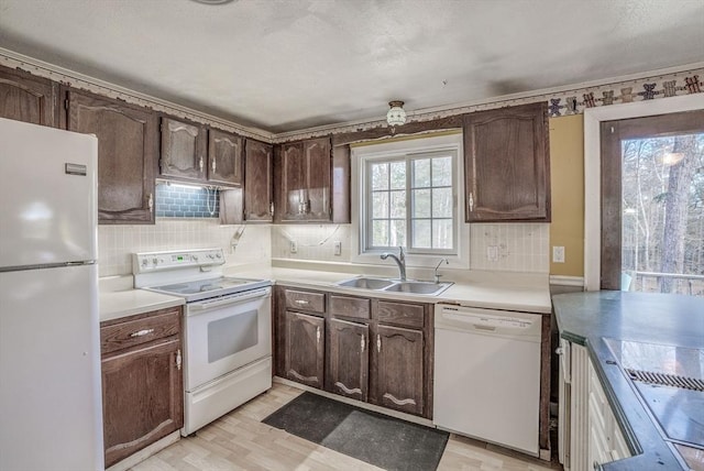 kitchen featuring tasteful backsplash, dark brown cabinets, white appliances, sink, and light hardwood / wood-style floors