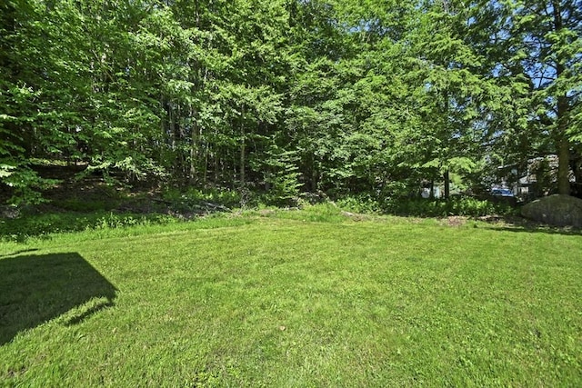 66 Squantum Rd, Jaffrey, NH 03452 - view of green lawn