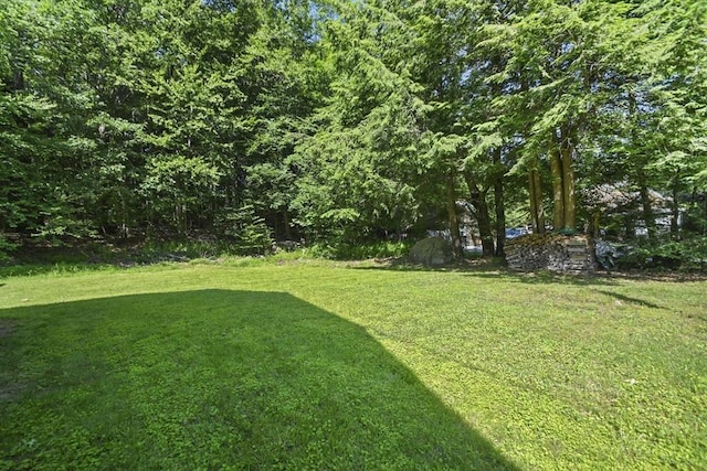 66 Squantum Rd, Jaffrey, NH 03452 - view of grassy yard