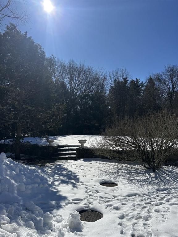 yard layered in snow featuring a forest view