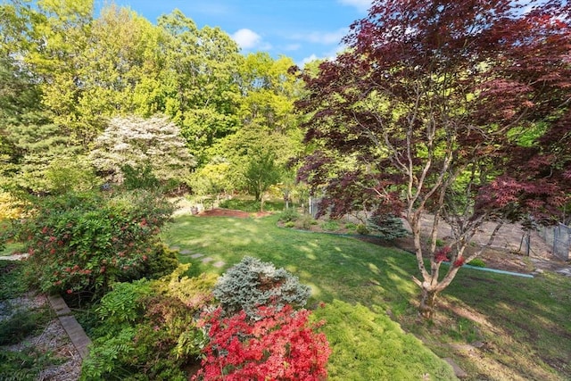 12 Queens Cir, Sharon, MA 02067 - view of yard with a wooded view