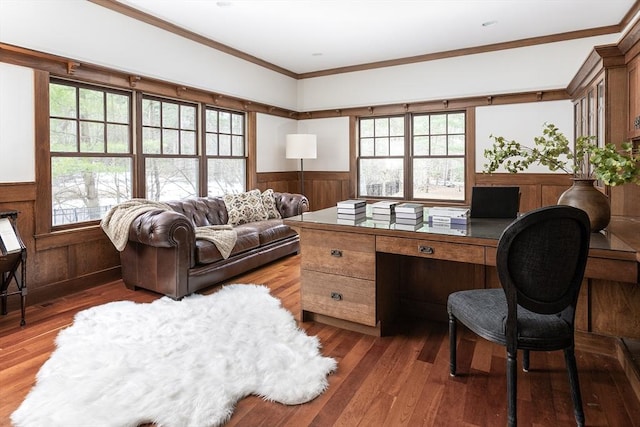 office space featuring a wainscoted wall, wood-type flooring, and crown molding