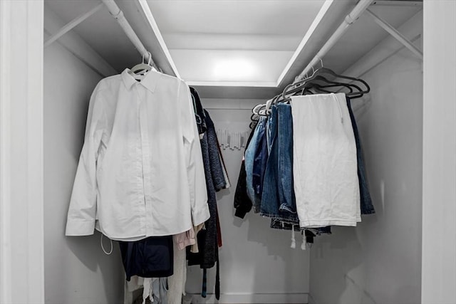 view of spacious closet