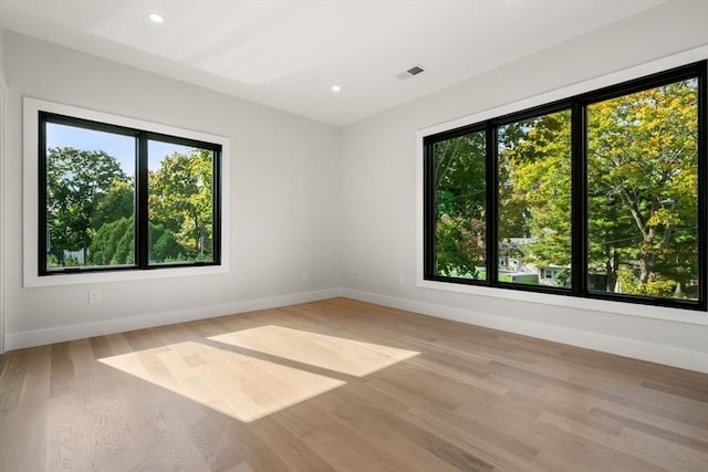 spare room with light wood-style floors, a healthy amount of sunlight, and baseboards