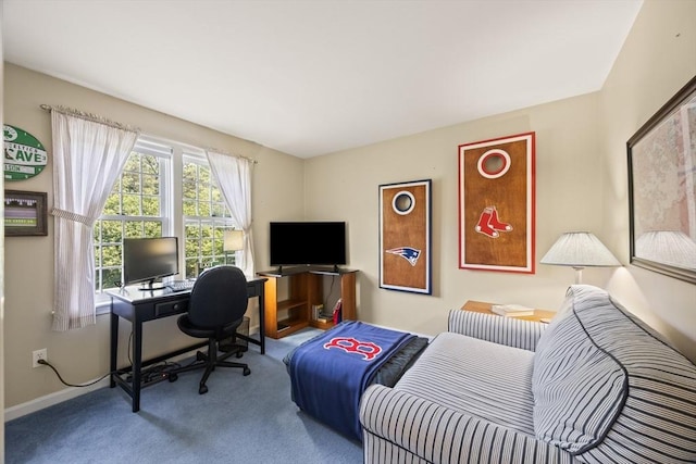 88 Amelia Way, Barnstable, MA 02648 - office space featuring carpet floors and baseboards