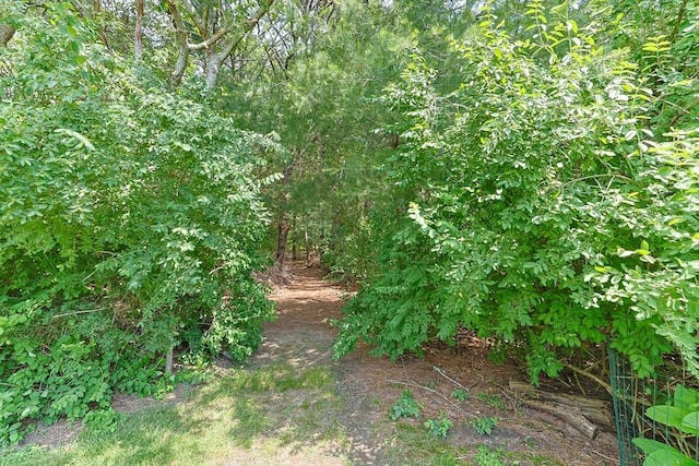 88 Amelia Way, Barnstable, MA 02648 - view of undeveloped land