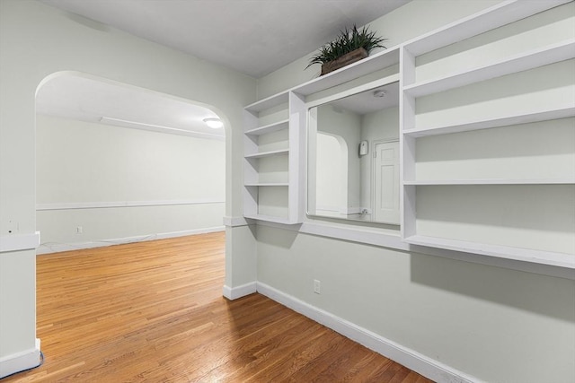 walk in closet featuring wood finished floors
