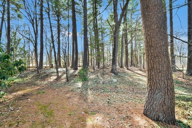 view of local wilderness