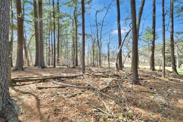 view of landscape