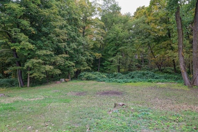view of yard featuring a wooded view