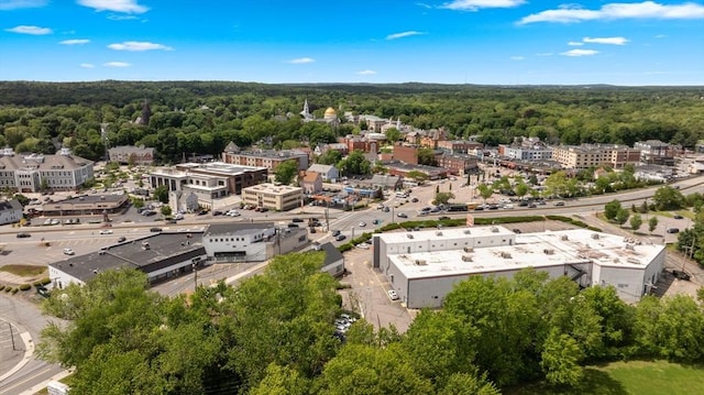 475 E St, Dedham, MA 02026 - aerial view of a forest