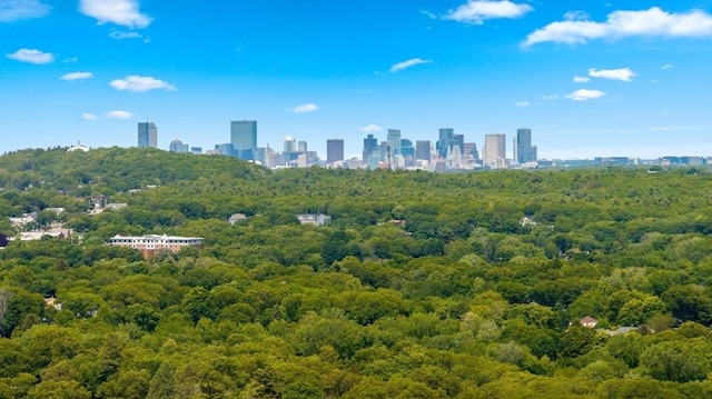 475 E St, Dedham, MA 02026 - drone / aerial view of a heavily wooded area and skyline