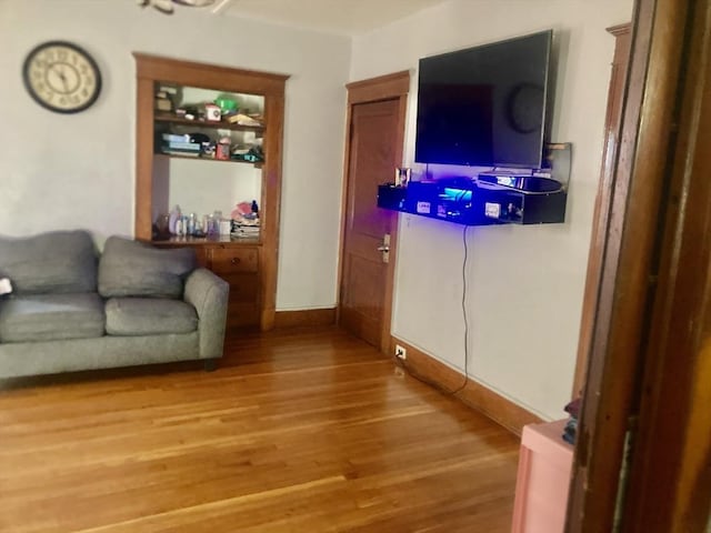 living room featuring hardwood / wood-style flooring