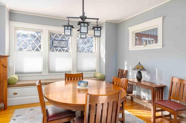 dining room with ornamental molding, a healthy amount of sunlight, and light wood-style flooring