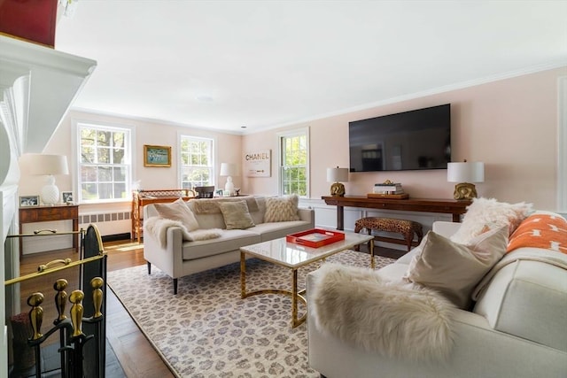 living area featuring radiator, crown molding, and wood finished floors