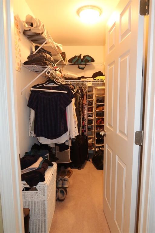 12 Sterling Ln Unit 12, Walpole, MA 02081 - walk in closet featuring carpet flooring