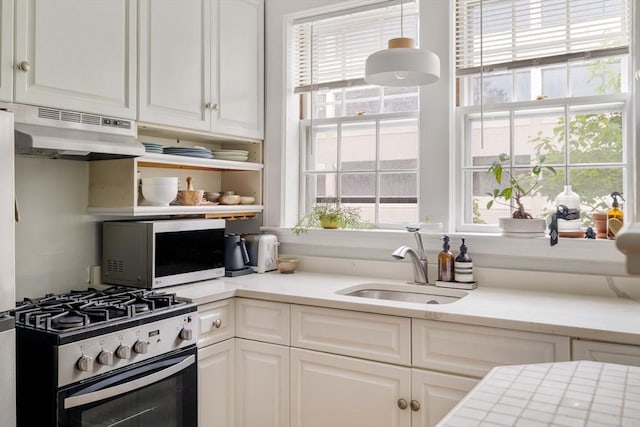9 Ellery St Unit 33, Cambridge, MA 02138 - kitchen with stainless steel appliances, under cabinet range hood, white cabinetry, a sink, and light countertops