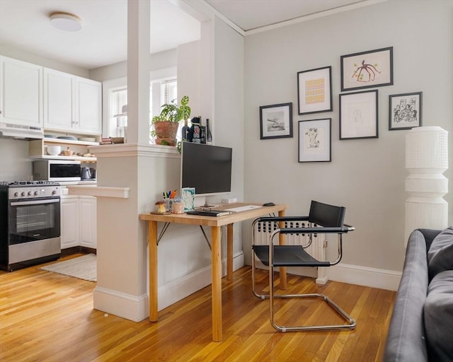 9 Ellery St Unit 33, Cambridge, MA 02138 - office area with light wood-style flooring, baseboards, and ornamental molding