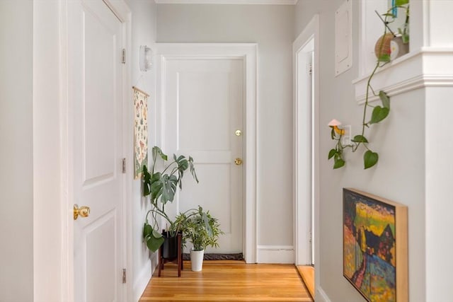 9 Ellery St Unit 33, Cambridge, MA 02138 - hall with light wood finished floors