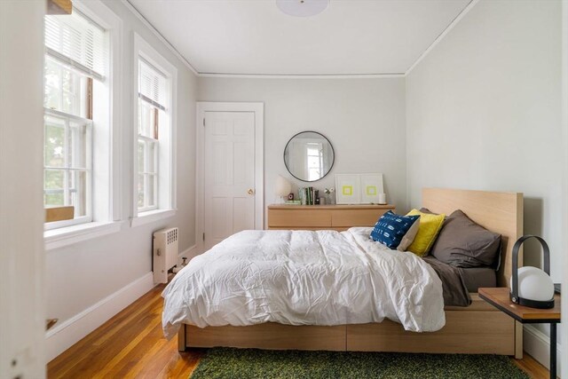 9 Ellery St Unit 33, Cambridge, MA 02138 - bedroom featuring radiator, multiple windows, wood finished floors, crown molding, and baseboards