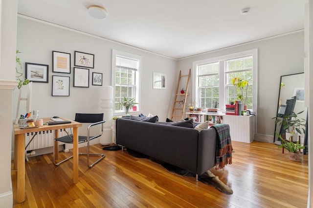 9 Ellery St Unit 33, Cambridge, MA 02138 - living area with light wood-type flooring, ornamental molding, an office area, and baseboards