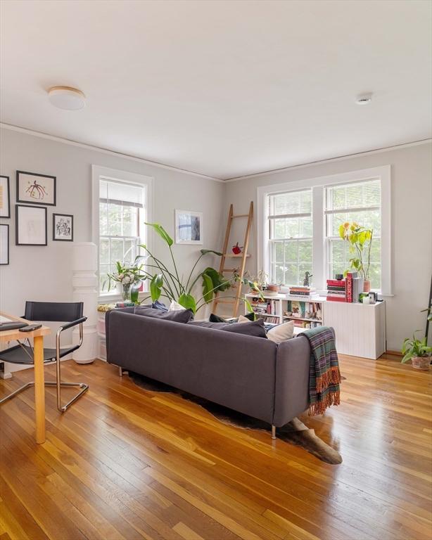 9 Ellery St Unit 33, Cambridge, MA 02138 - living area featuring ornamental molding and light wood-style flooring