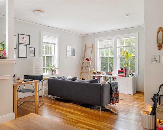 9 Ellery St Unit 33, Cambridge, MA 02138 - living room with light wood finished floors, crown molding, baseboards, and an office area
