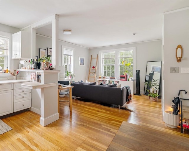 9 Ellery St Unit 33, Cambridge, MA 02138 - living area with crown molding and light wood finished floors