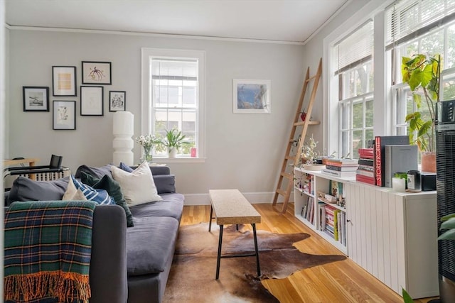 9 Ellery St Unit 33, Cambridge, MA 02138 - living area featuring crown molding, light wood finished floors, and baseboards