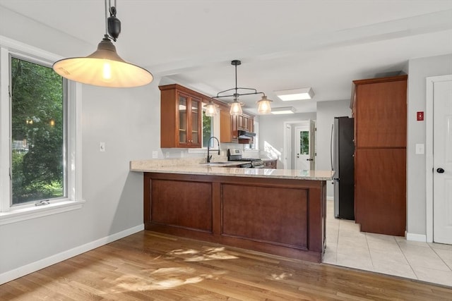 731-R Grove St, Norwell, MA 02061 - kitchen featuring stainless steel appliances, a peninsula, light stone countertops, glass insert cabinets, and light wood-type flooring