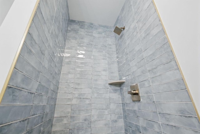 room details with tiled shower