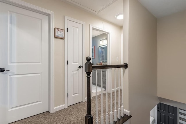 corridor with baseboards, carpet floors, and attic access