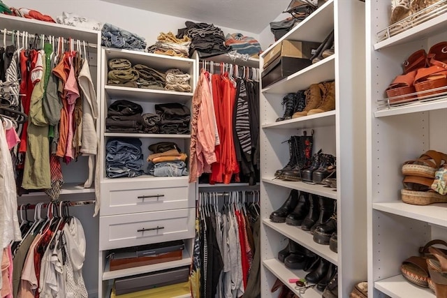 view of spacious closet