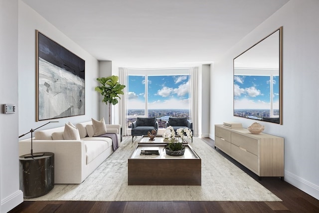 living room featuring hardwood / wood-style flooring