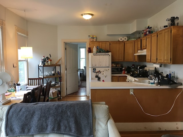 kitchen featuring hardwood / wood-style floors, white fridge, kitchen peninsula, and a healthy amount of sunlight