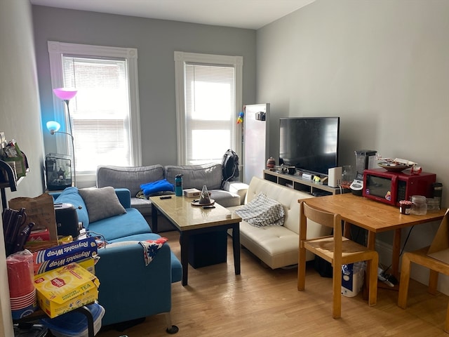 living room with light wood-type flooring and a healthy amount of sunlight